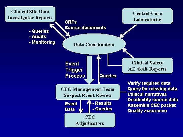 Clinical Site Data Investigator Reports - Queries - Audits - Monitoring CRFs Source documents