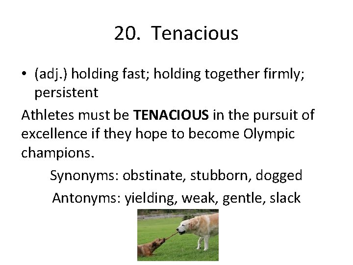 20. Tenacious • (adj. ) holding fast; holding together firmly; persistent Athletes must be