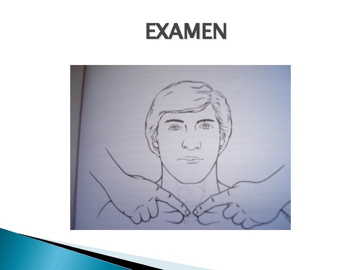 EXAMEN 