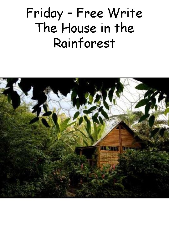 Friday – Free Write The House in the Rainforest 