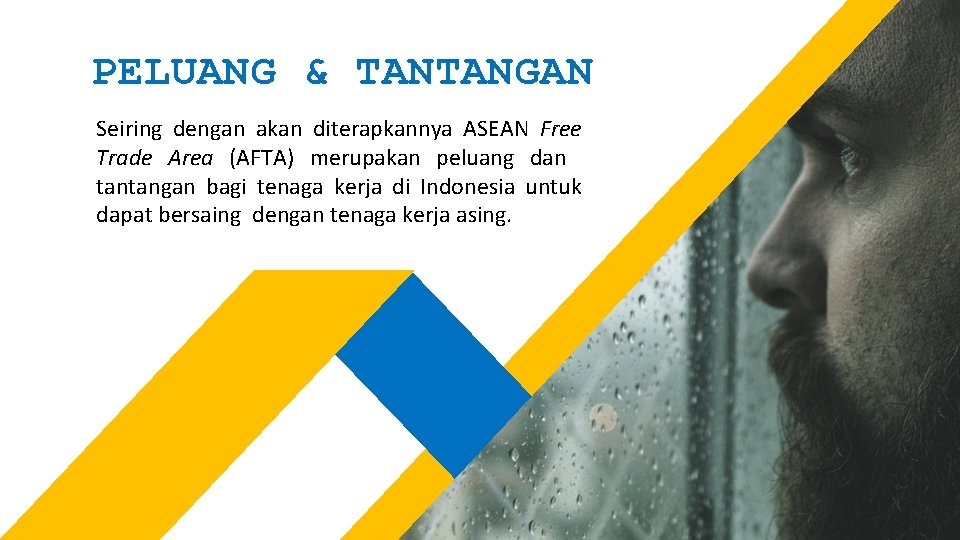 PELUANG & TANTANGAN Seiring dengan akan diterapkannya ASEAN Free Trade Area (AFTA) merupakan peluang