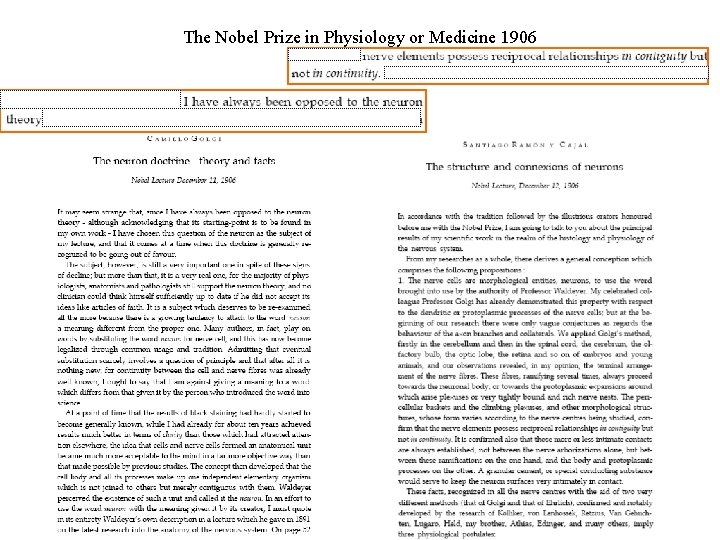 The Nobel Prize in Physiology or Medicine 1906 