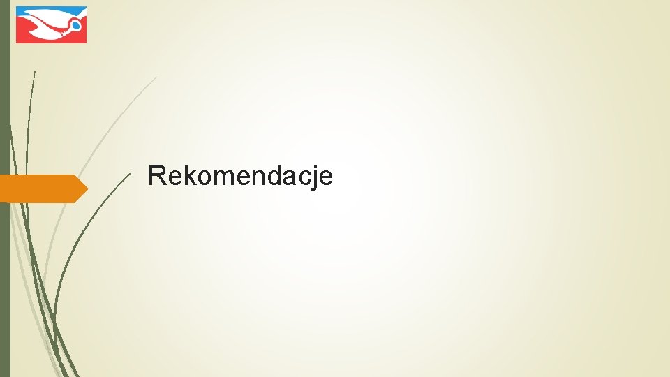 Rekomendacje 