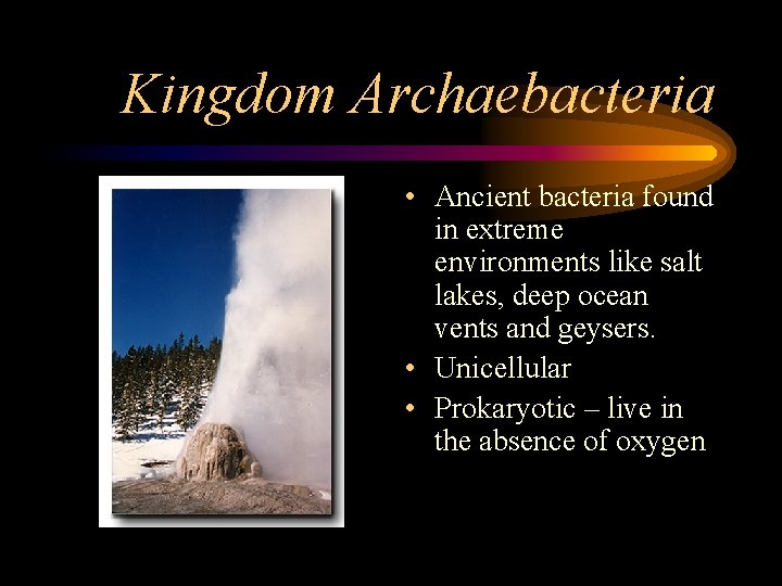 Kingdom Archaebacteria • Ancient bacteria found in extreme environments like salt lakes, deep ocean