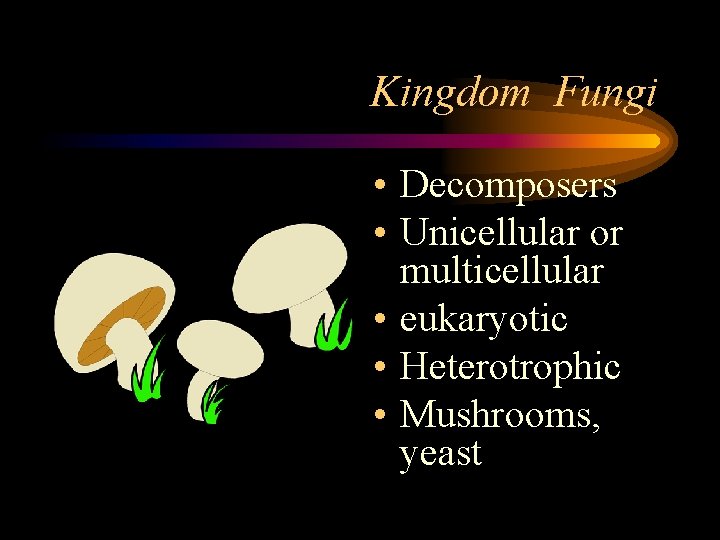 Kingdom Fungi • Decomposers • Unicellular or multicellular • eukaryotic • Heterotrophic • Mushrooms,