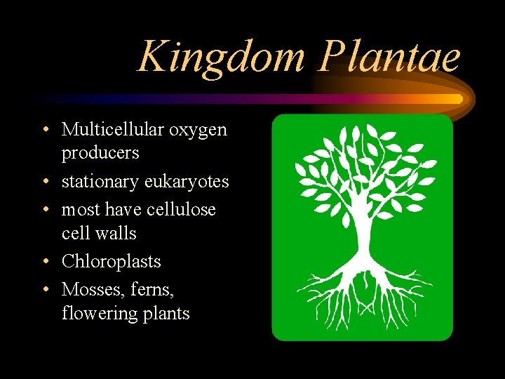 Kingdom Plantae • Multicellular oxygen producers • stationary eukaryotes • most have cellulose cell