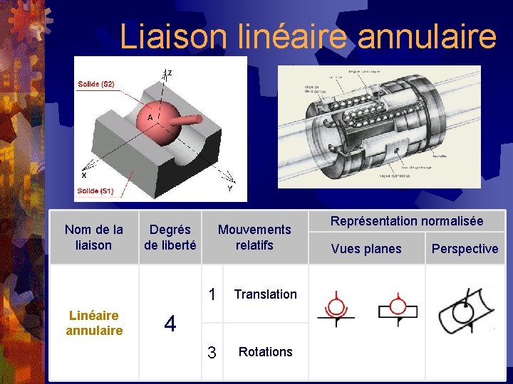 Liaison linéaire annulaire Nom de la liaison Linéaire annulaire Degrés de liberté Mouvements relatifs