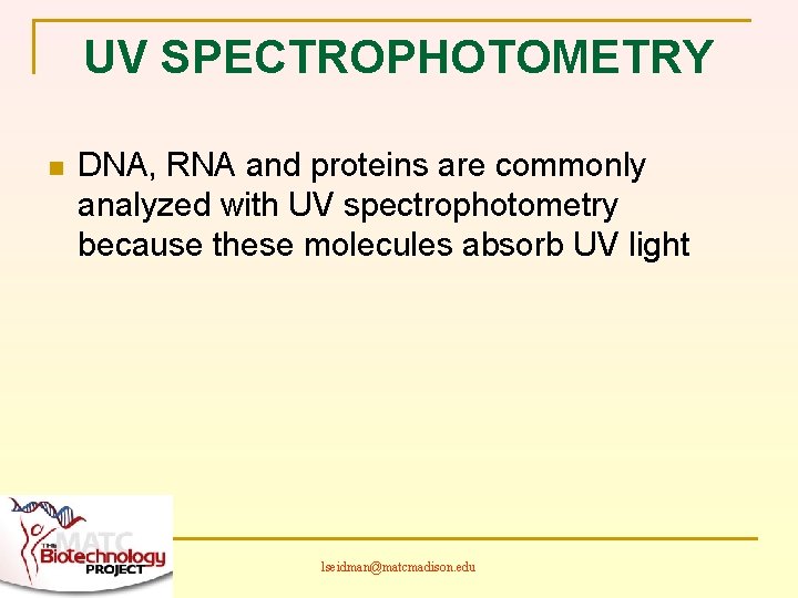 UV SPECTROPHOTOMETRY n DNA, RNA and proteins are commonly analyzed with UV spectrophotometry because