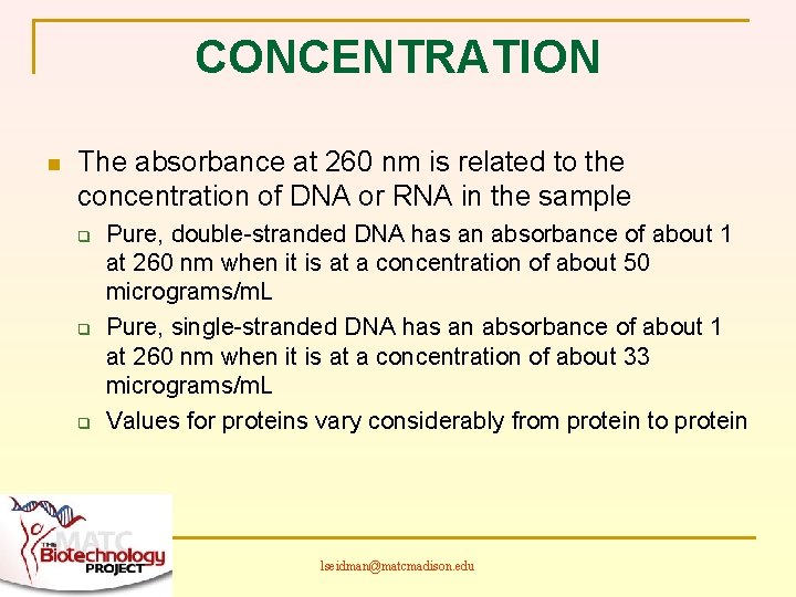 CONCENTRATION n The absorbance at 260 nm is related to the concentration of DNA