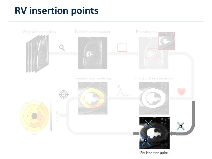 RV insertion points 