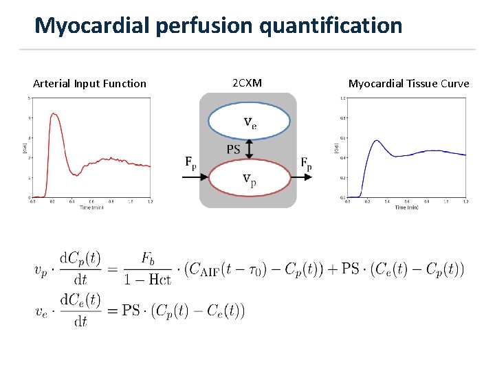 Myocardial perfusion quantification Arterial Input Function 2 CXM Myocardial Tissue Curve 