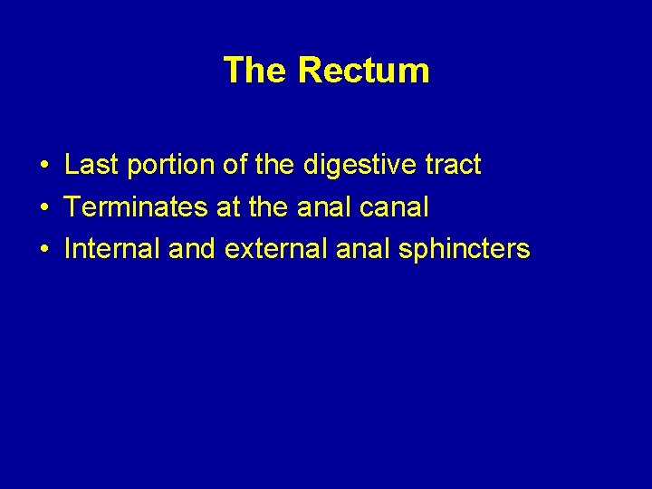 The Rectum • Last portion of the digestive tract • Terminates at the anal