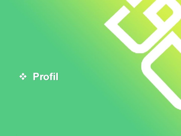 v Profil 