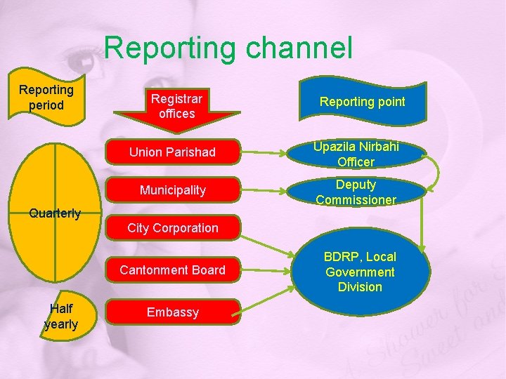 Reporting channel Reporting period Registrar offices Reporting point Union Parishad Upazila Nirbahi Officer Municipality