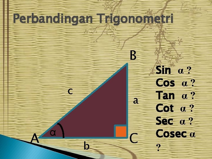 Perbandingan Trigonometri B c A a α b C Sin α ? Cos α