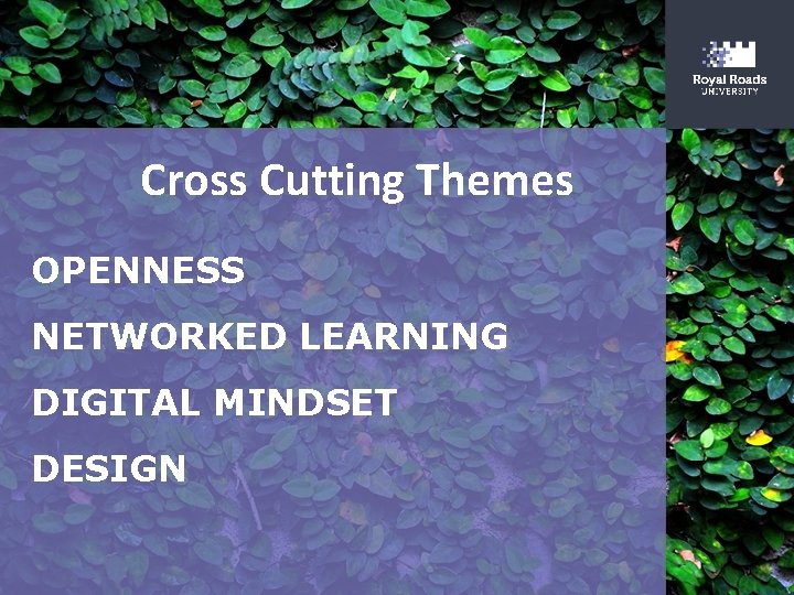 Cross Cutting Themes OPENNESS NETWORKED LEARNING DIGITAL MINDSET DESIGN 