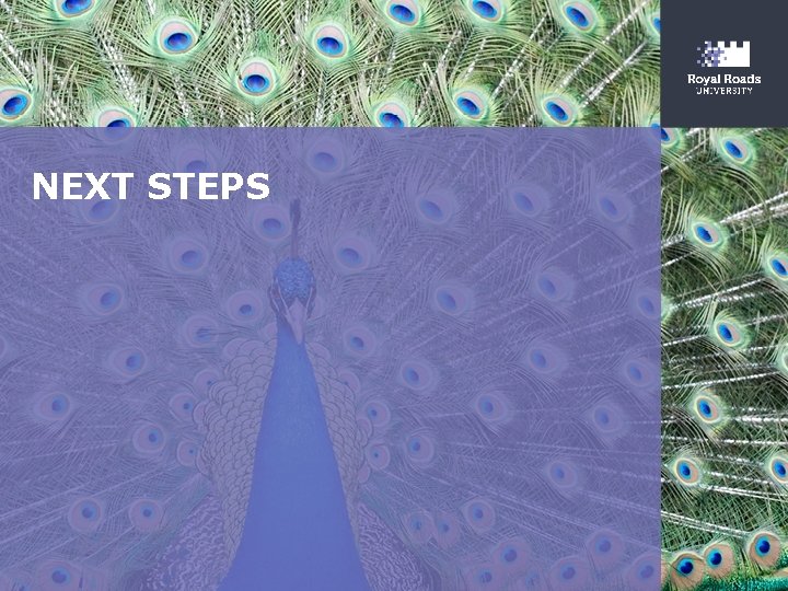 NEXT STEPS 