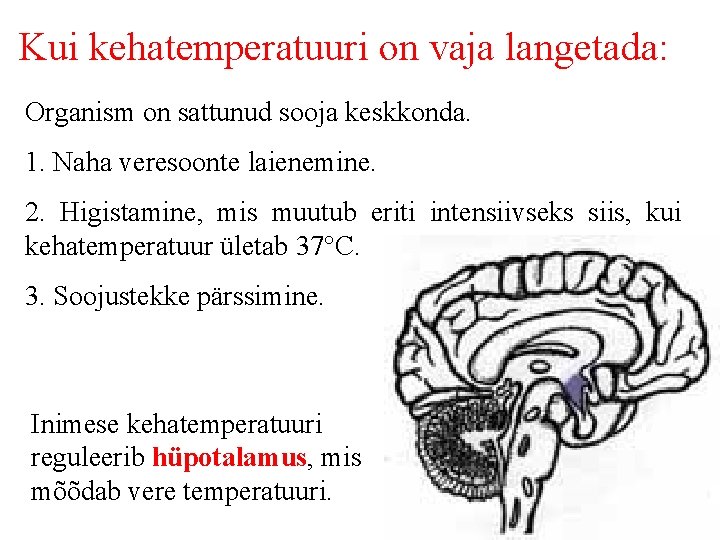 Kui kehatemperatuuri on vaja langetada: Organism on sattunud sooja keskkonda. 1. Naha veresoonte laienemine.