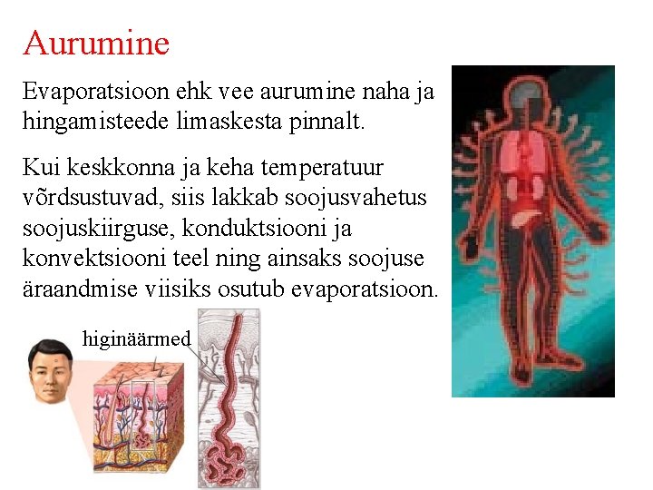 Aurumine Evaporatsioon ehk vee aurumine naha ja hingamisteede limaskesta pinnalt. Kui keskkonna ja keha