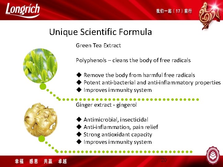 Unique Scientific Formula Green Tea Extract Polyphenols – cleans the body of free radicals