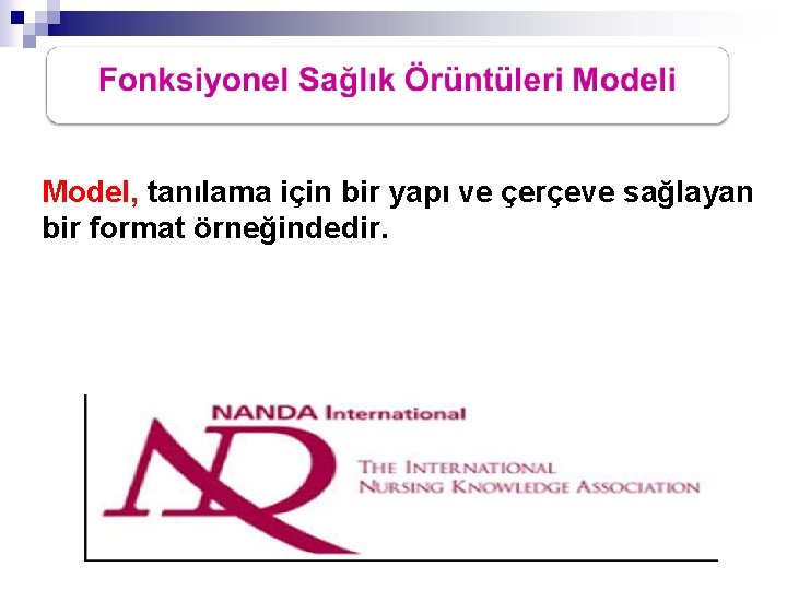 Model, tanılama için bir yapı ve çerçeve sağlayan bir format örneğindedir. 