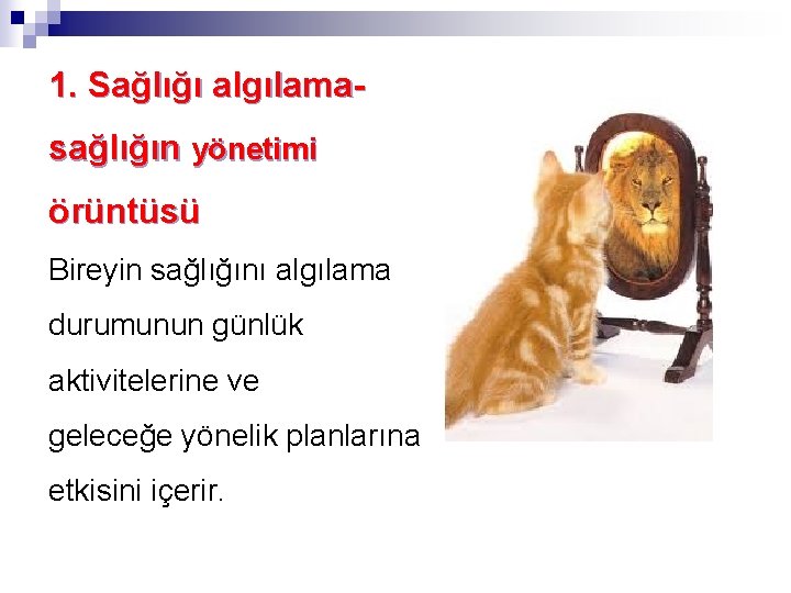 1. Sağlığı algılamasağlığın yönetimi örüntüsü Bireyin sağlığını algılama durumunun günlük aktivitelerine ve geleceğe yönelik