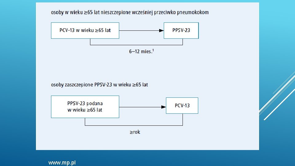 www. mp. pl www. mp. pl