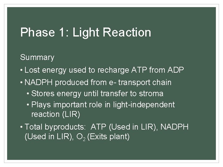 Phase 1: Light Reaction Summary • Lost energy used to recharge ATP from ADP