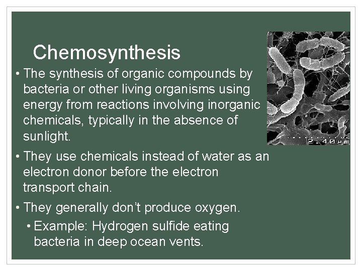 Chemosynthesis • The synthesis of organic compounds by bacteria or other living organisms using