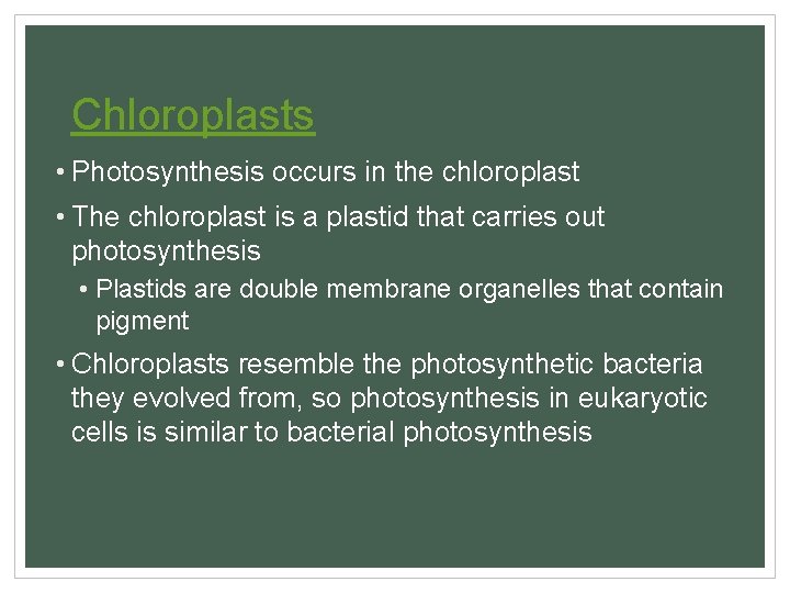 Chloroplasts • Photosynthesis occurs in the chloroplast • The chloroplast is a plastid that