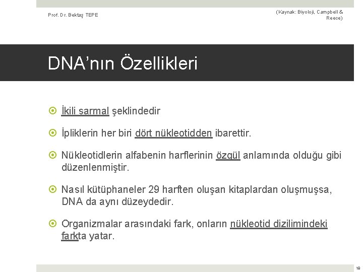 Prof. Dr. Bektaş TEPE (Kaynak: Biyoloji, Campbell & Reece) DNA’nın Özellikleri İkili sarmal şeklindedir