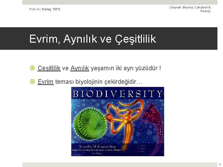 Prof. Dr. Bektaş TEPE (Kaynak: Biyoloji, Campbell & Reece) Evrim, Aynılık ve Çeşitlilik ve