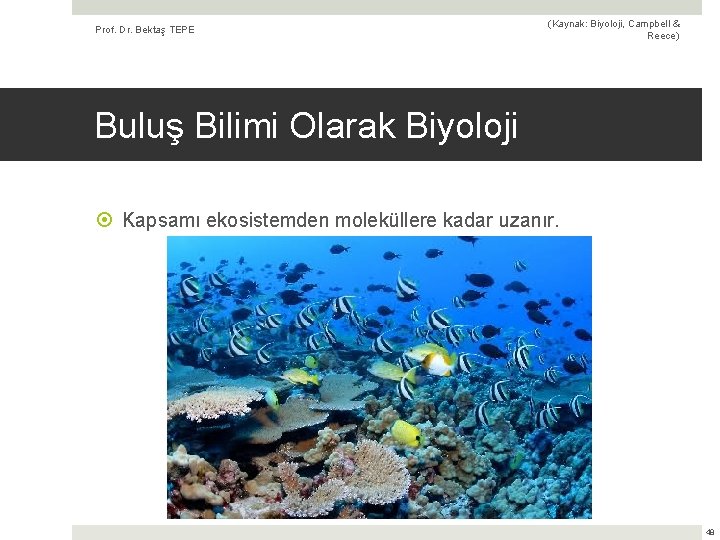 Prof. Dr. Bektaş TEPE (Kaynak: Biyoloji, Campbell & Reece) Buluş Bilimi Olarak Biyoloji Kapsamı