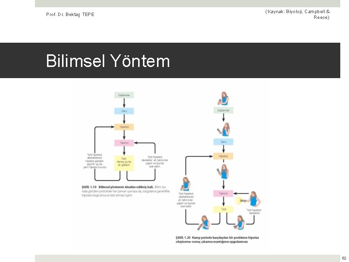 Prof. Dr. Bektaş TEPE (Kaynak: Biyoloji, Campbell & Reece) Bilimsel Yöntem 52 