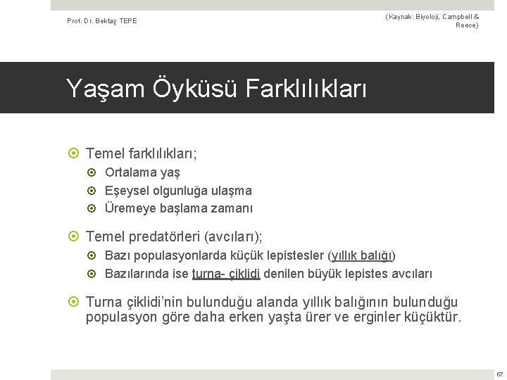 Prof. Dr. Bektaş TEPE (Kaynak: Biyoloji, Campbell & Reece) Yaşam Öyküsü Farklılıkları Temel farklılıkları;