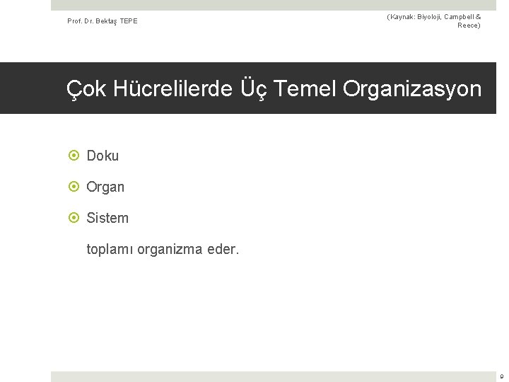 Prof. Dr. Bektaş TEPE (Kaynak: Biyoloji, Campbell & Reece) Çok Hücrelilerde Üç Temel Organizasyon