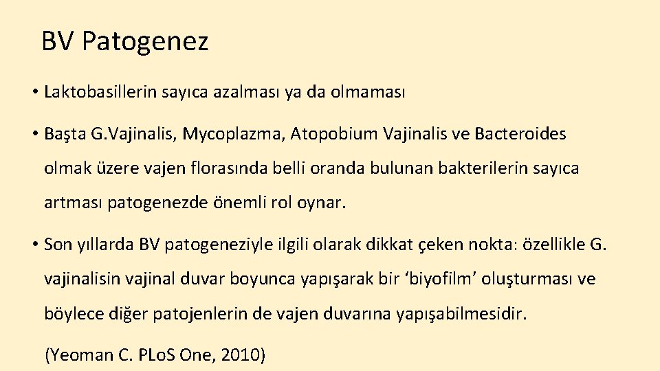 BV Patogenez • Laktobasillerin sayıca azalması ya da olmaması • Başta G. Vajinalis, Mycoplazma,