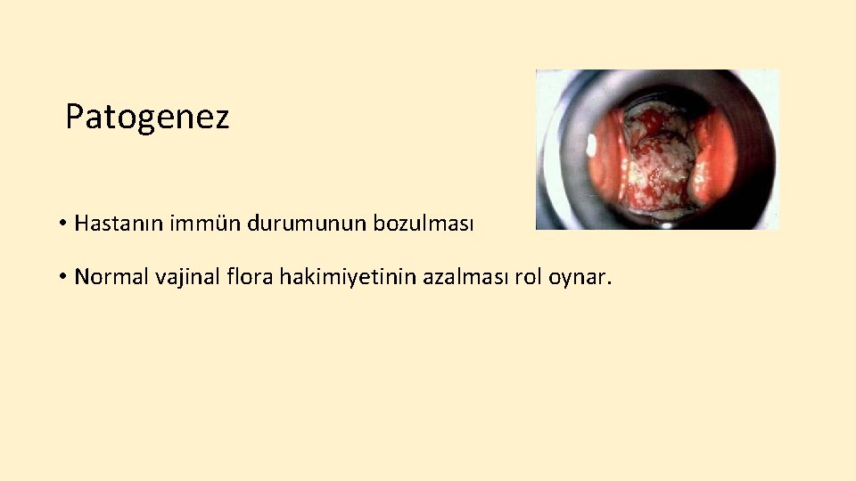 Patogenez • Hastanın immün durumunun bozulması • Normal vajinal flora hakimiyetinin azalması rol oynar.