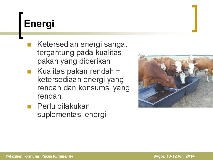 Energi n n n Ketersedian energi sangat tergantung pada kualitas pakan yang diberikan Kualitas