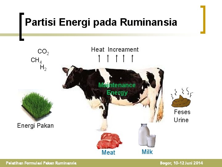 Partisi Energi pada Ruminansia CO 2 CH 4 H 2 Heat Increament Maintenance Energy