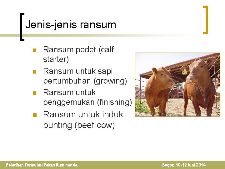 Jenis-jenis ransum n n Ransum pedet (calf starter) Ransum untuk sapi pertumbuhan (growing) Ransum