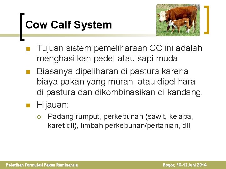 Cow Calf System n n n Tujuan sistem pemeliharaan CC ini adalah menghasilkan pedet