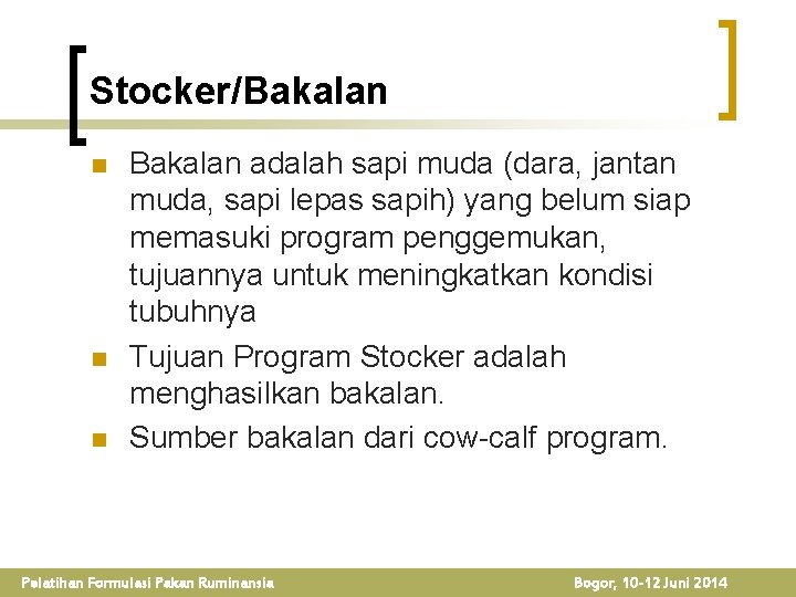 Stocker/Bakalan n Bakalan adalah sapi muda (dara, jantan muda, sapi lepas sapih) yang belum