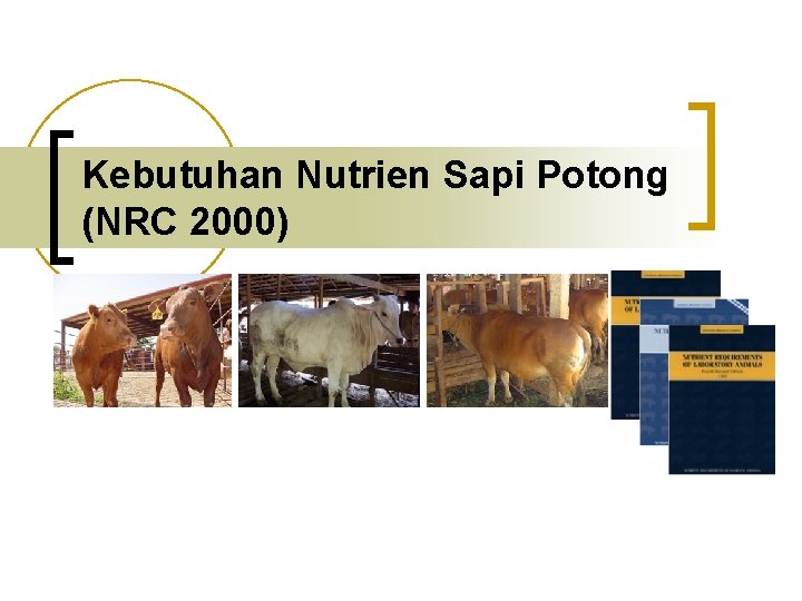 Kebutuhan Nutrien Sapi Potong (NRC 2000) 