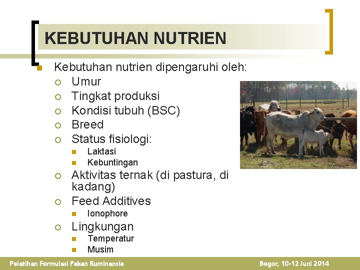 KEBUTUHAN NUTRIEN n Kebutuhan nutrien dipengaruhi oleh: ¡ Umur ¡ Tingkat produksi ¡ Kondisi