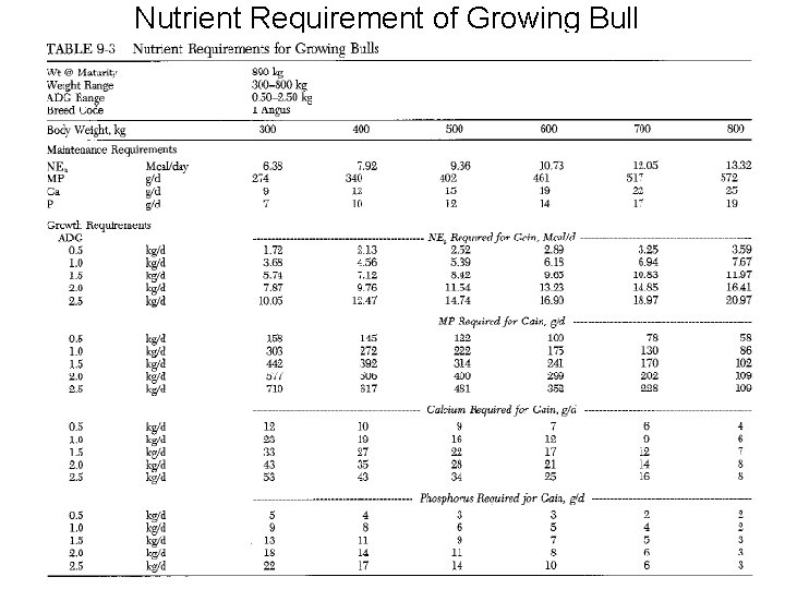 Nutrient Requirement of Growing Bull 