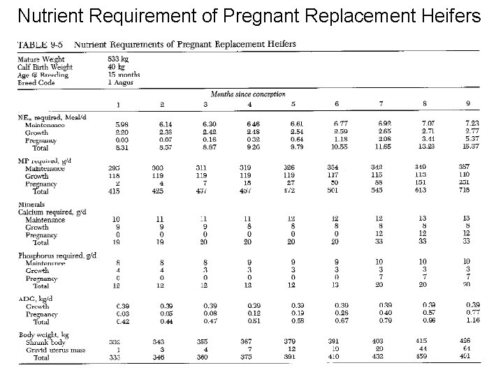 Nutrient Requirement of Pregnant Replacement Heifers 