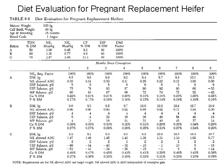 Diet Evaluation for Pregnant Replacement Heifer 