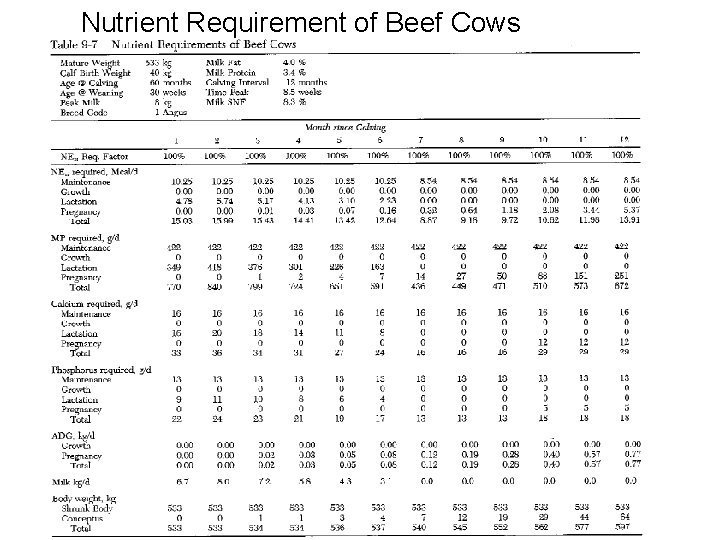 Nutrient Requirement of Beef Cows 