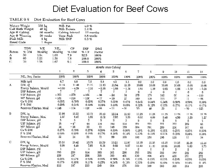 Diet Evaluation for Beef Cows 